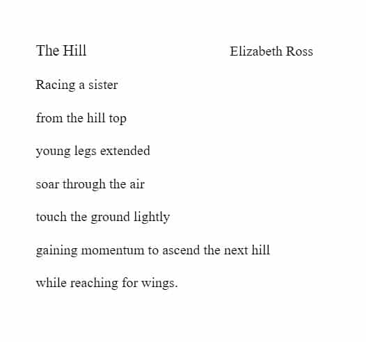 Elizabeth Ross, Writing, The Hill